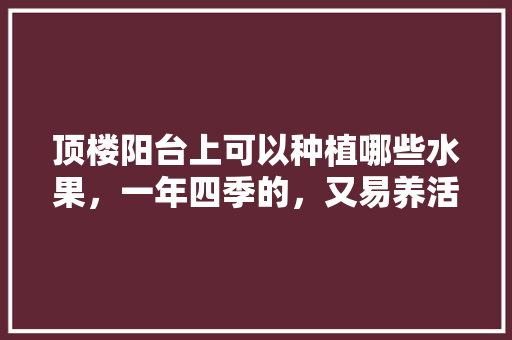 顶楼阳台上可以种植哪些水果，一年四季的，又易养活的，楼顶种啥水果。 顶楼阳台上可以种植哪些水果，一年四季的，又易养活的，楼顶种啥水果。 土壤施肥