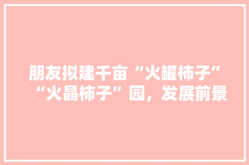 朋友拟建千亩“火罐柿子”“火晶柿子”园，发展前景如何，水果的核怎么种。 朋友拟建千亩“火罐柿子”“火晶柿子”园，发展前景如何，水果的核怎么种。 蔬菜种植