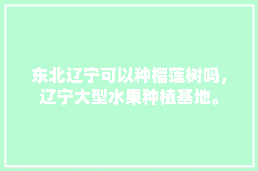 东北辽宁可以种榴莲树吗，辽宁大型水果种植基地。 东北辽宁可以种榴莲树吗，辽宁大型水果种植基地。 水果种植