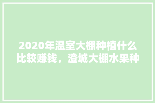 2020年温室大棚种植什么比较赚钱，澄城大棚水果种植基地在哪里。 2020年温室大棚种植什么比较赚钱，澄城大棚水果种植基地在哪里。 家禽养殖