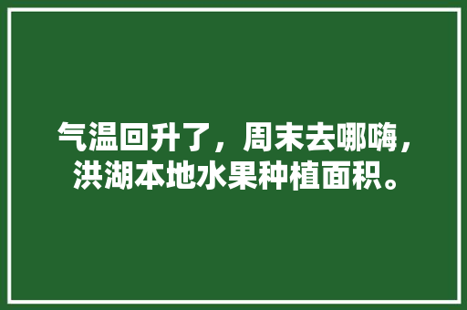 气温回升了，周末去哪嗨，洪湖本地水果种植面积。 气温回升了，周末去哪嗨，洪湖本地水果种植面积。 水果种植