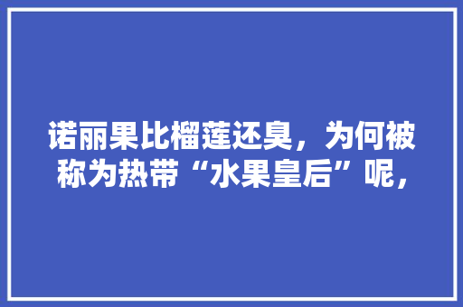 诺丽果比榴莲还臭，为何被称为热带“水果皇后”呢，水果皇后种植技巧视频。 诺丽果比榴莲还臭，为何被称为热带“水果皇后”呢，水果皇后种植技巧视频。 畜牧养殖