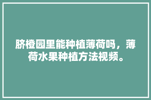 脐橙园里能种植薄荷吗，薄荷水果种植方法视频。 脐橙园里能种植薄荷吗，薄荷水果种植方法视频。 土壤施肥