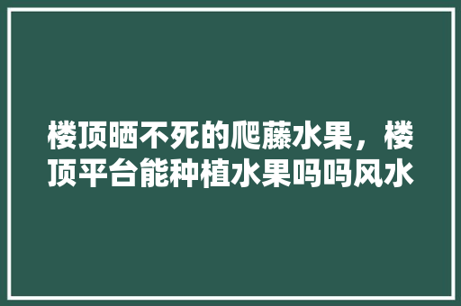 楼顶晒不死的爬藤水果，楼顶平台能种植水果吗吗风水好吗。 楼顶晒不死的爬藤水果，楼顶平台能种植水果吗吗风水好吗。 蔬菜种植