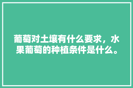 葡萄对土壤有什么要求，水果葡萄的种植条件是什么。 葡萄对土壤有什么要求，水果葡萄的种植条件是什么。 畜牧养殖