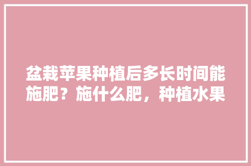 盆栽苹果种植后多长时间能施肥？施什么肥，种植水果是否要施肥呢。 盆栽苹果种植后多长时间能施肥？施什么肥，种植水果是否要施肥呢。 土壤施肥