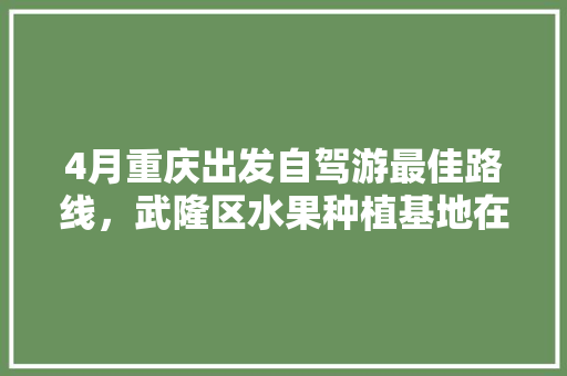 4月重庆出发自驾游最佳路线，武隆区水果种植基地在哪里。 4月重庆出发自驾游最佳路线，武隆区水果种植基地在哪里。 家禽养殖