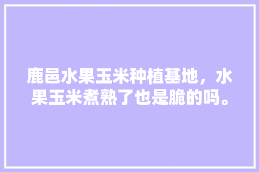 鹿邑水果玉米种植基地，水果玉米煮熟了也是脆的吗。 鹿邑水果玉米种植基地，水果玉米煮熟了也是脆的吗。 水果种植