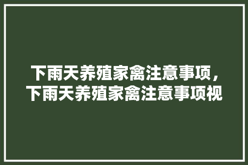 下雨天养殖家禽注意事项，下雨天养殖家禽注意事项视频。 下雨天养殖家禽注意事项，下雨天养殖家禽注意事项视频。 家禽养殖