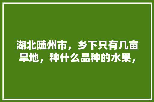 湖北随州市，乡下只有几亩旱地，种什么品种的水果，收益比较可观，河南种植什么水果。 湖北随州市，乡下只有几亩旱地，种什么品种的水果，收益比较可观，河南种植什么水果。 蔬菜种植