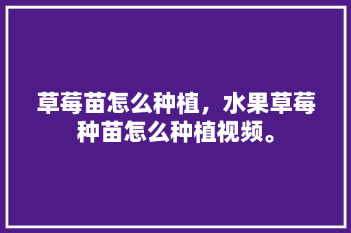 草莓苗怎么种植，水果草莓种苗怎么种植视频。 草莓苗怎么种植，水果草莓种苗怎么种植视频。 土壤施肥