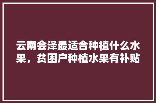 云南会泽最适合种植什么水果，贫困户种植水果有补贴吗。 云南会泽最适合种植什么水果，贫困户种植水果有补贴吗。 家禽养殖