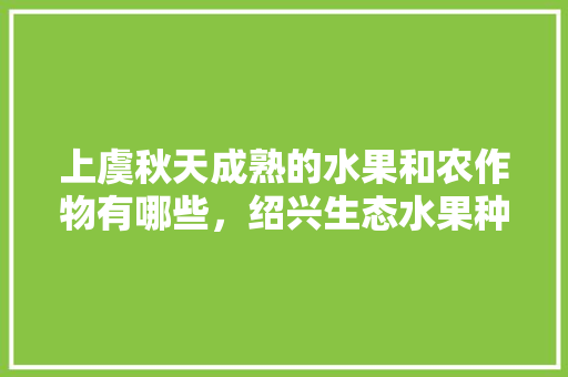 上虞秋天成熟的水果和农作物有哪些，绍兴生态水果种植农场地址。 上虞秋天成熟的水果和农作物有哪些，绍兴生态水果种植农场地址。 家禽养殖