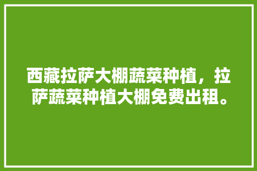 西藏拉萨大棚蔬菜种植，拉萨蔬菜种植大棚免费出租。 西藏拉萨大棚蔬菜种植，拉萨蔬菜种植大棚免费出租。 土壤施肥