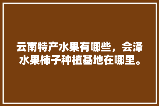 云南特产水果有哪些，会泽水果柿子种植基地在哪里。 云南特产水果有哪些，会泽水果柿子种植基地在哪里。 土壤施肥