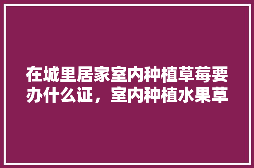 在城里居家室内种植草莓要办什么证，室内种植水果草莓可以吗。 在城里居家室内种植草莓要办什么证，室内种植水果草莓可以吗。 畜牧养殖