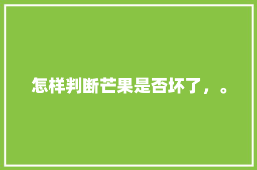 怎样判断芒果是否坏了，。 怎样判断芒果是否坏了，。 畜牧养殖