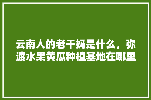 云南人的老干妈是什么，弥渡水果黄瓜种植基地在哪里。 云南人的老干妈是什么，弥渡水果黄瓜种植基地在哪里。 家禽养殖