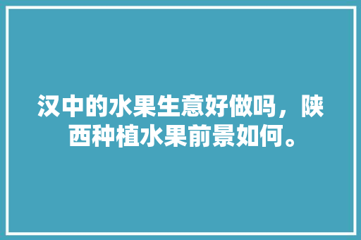 汉中的水果生意好做吗，陕西种植水果前景如何。 汉中的水果生意好做吗，陕西种植水果前景如何。 土壤施肥