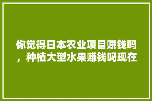 你觉得日本农业项目赚钱吗，种植大型水果赚钱吗现在。 你觉得日本农业项目赚钱吗，种植大型水果赚钱吗现在。 水果种植