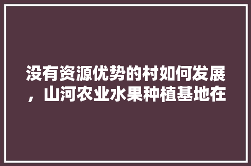 没有资源优势的村如何发展，山河农业水果种植基地在哪里。 没有资源优势的村如何发展，山河农业水果种植基地在哪里。 水果种植