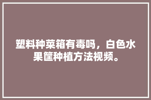 塑料种菜箱有毒吗，白色水果筐种植方法视频。 塑料种菜箱有毒吗，白色水果筐种植方法视频。 土壤施肥