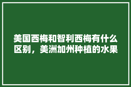 美国西梅和智利西梅有什么区别，美洲加州种植的水果有哪些。 美国西梅和智利西梅有什么区别，美洲加州种植的水果有哪些。 家禽养殖