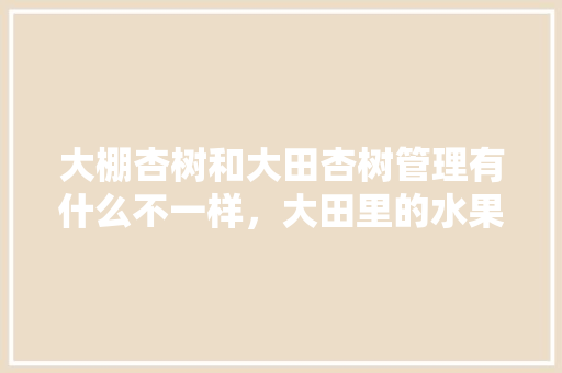 大棚杏树和大田杏树管理有什么不一样，大田里的水果种植方法。 大棚杏树和大田杏树管理有什么不一样，大田里的水果种植方法。 蔬菜种植