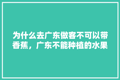 为什么去广东做客不可以带香蕉，广东不能种植的水果有哪些。 为什么去广东做客不可以带香蕉，广东不能种植的水果有哪些。 畜牧养殖