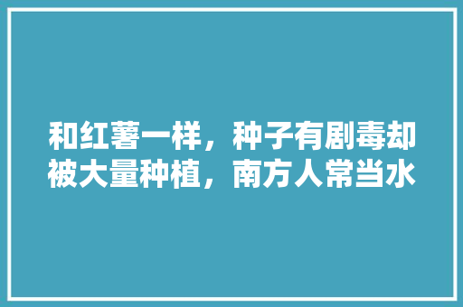 和红薯一样，种子有剧毒却被大量种植，南方人常当水果吃什么东西，三种水果不能在家种植的原因。 和红薯一样，种子有剧毒却被大量种植，南方人常当水果吃什么东西，三种水果不能在家种植的原因。 水果种植