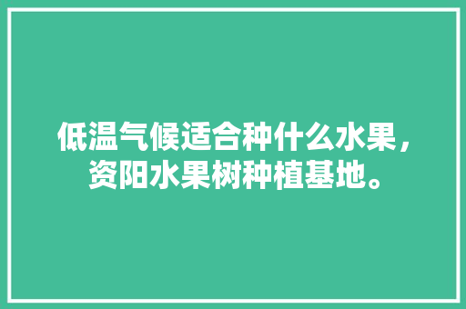 低温气候适合种什么水果，资阳水果树种植基地。 低温气候适合种什么水果，资阳水果树种植基地。 蔬菜种植