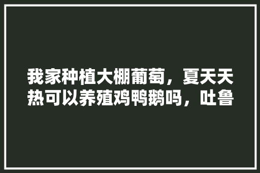 我家种植大棚葡萄，夏天天热可以养殖鸡鸭鹅吗，吐鲁番水果大棚种植基地在哪里。 我家种植大棚葡萄，夏天天热可以养殖鸡鸭鹅吗，吐鲁番水果大棚种植基地在哪里。 蔬菜种植