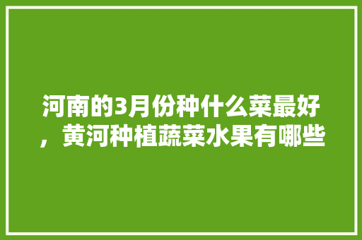 河南的3月份种什么菜最好，黄河种植蔬菜水果有哪些。 河南的3月份种什么菜最好，黄河种植蔬菜水果有哪些。 水果种植