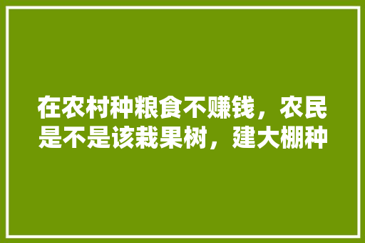 在农村种粮食不赚钱，农民是不是该栽果树，建大棚种植蔬菜水果呢，。 在农村种粮食不赚钱，农民是不是该栽果树，建大棚种植蔬菜水果呢，。 家禽养殖