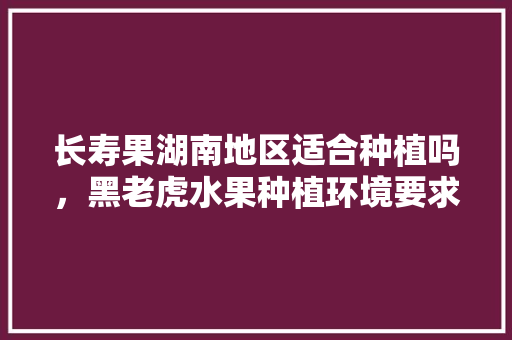 长寿果湖南地区适合种植吗，黑老虎水果种植环境要求。 长寿果湖南地区适合种植吗，黑老虎水果种植环境要求。 家禽养殖