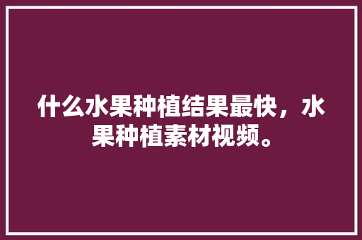 什么水果种植结果最快，水果种植素材视频。 什么水果种植结果最快，水果种植素材视频。 家禽养殖