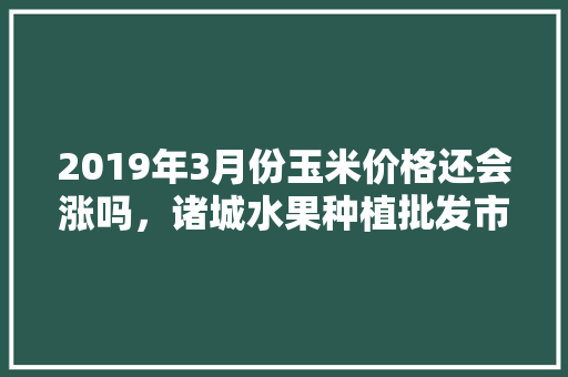 2019年3月份玉米价格还会涨吗，诸城水果种植批发市场。 2019年3月份玉米价格还会涨吗，诸城水果种植批发市场。 畜牧养殖