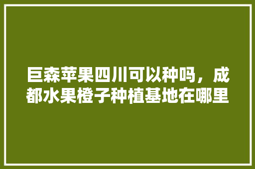 巨森苹果四川可以种吗，成都水果橙子种植基地在哪里。 巨森苹果四川可以种吗，成都水果橙子种植基地在哪里。 家禽养殖