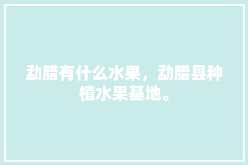 勐腊有什么水果，勐腊县种植水果基地。 勐腊有什么水果，勐腊县种植水果基地。 水果种植