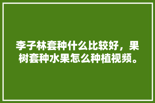 李子林套种什么比较好，果树套种水果怎么种植视频。 李子林套种什么比较好，果树套种水果怎么种植视频。 水果种植