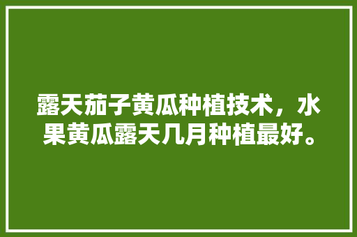 露天茄子黄瓜种植技术，水果黄瓜露天几月种植最好。 露天茄子黄瓜种植技术，水果黄瓜露天几月种植最好。 家禽养殖