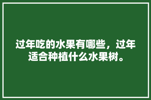 过年吃的水果有哪些，过年适合种植什么水果树。 过年吃的水果有哪些，过年适合种植什么水果树。 土壤施肥