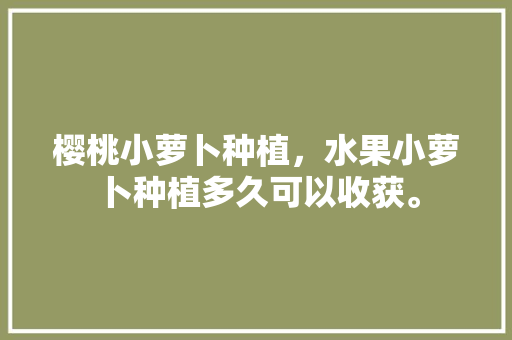 樱桃小萝卜种植，水果小萝卜种植多久可以收获。 樱桃小萝卜种植，水果小萝卜种植多久可以收获。 家禽养殖