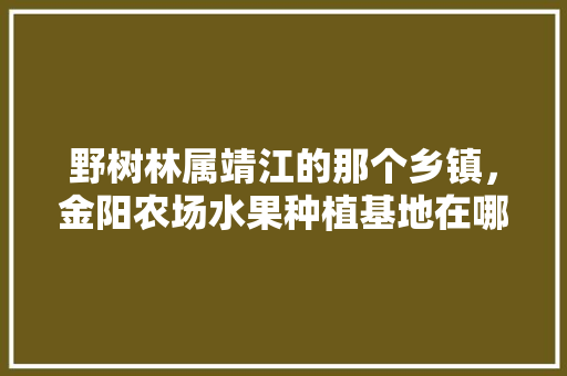 野树林属靖江的那个乡镇，金阳农场水果种植基地在哪里。 野树林属靖江的那个乡镇，金阳农场水果种植基地在哪里。 家禽养殖