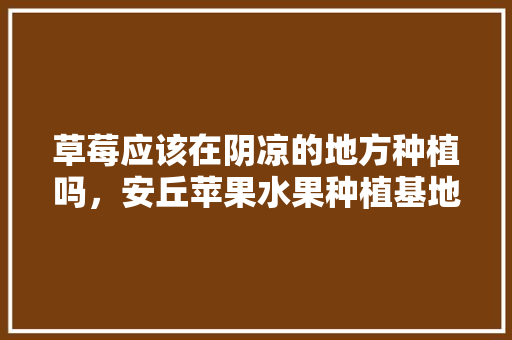 草莓应该在阴凉的地方种植吗，安丘苹果水果种植基地在哪里。 草莓应该在阴凉的地方种植吗，安丘苹果水果种植基地在哪里。 畜牧养殖