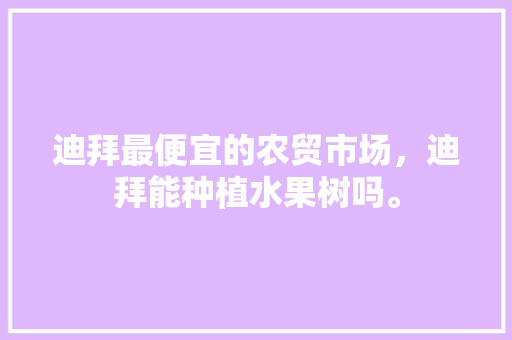 迪拜最便宜的农贸市场，迪拜能种植水果树吗。 迪拜最便宜的农贸市场，迪拜能种植水果树吗。 土壤施肥