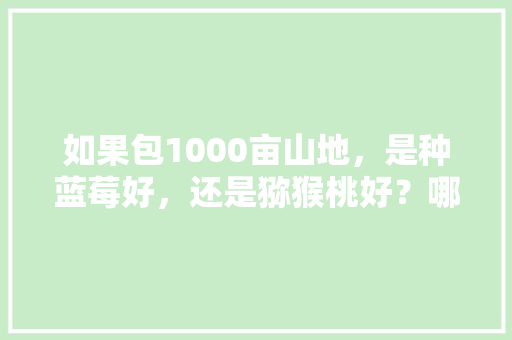 如果包1000亩山地，是种蓝莓好，还是猕猴桃好？哪种效益和种植简单点，水果种植哪个效益高些。 如果包1000亩山地，是种蓝莓好，还是猕猴桃好？哪种效益和种植简单点，水果种植哪个效益高些。 土壤施肥