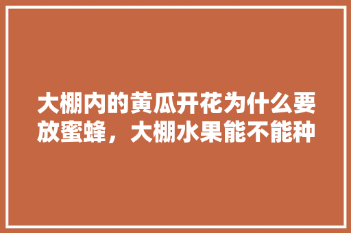 大棚内的黄瓜开花为什么要放蜜蜂，大棚水果能不能种植黄瓜呢。 大棚内的黄瓜开花为什么要放蜜蜂，大棚水果能不能种植黄瓜呢。 家禽养殖