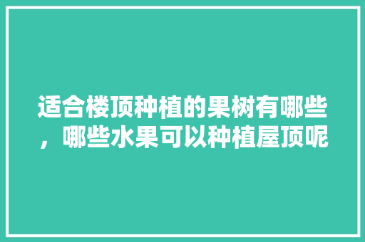 适合楼顶种植的果树有哪些，哪些水果可以种植屋顶呢。 适合楼顶种植的果树有哪些，哪些水果可以种植屋顶呢。 畜牧养殖