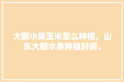 大棚水果玉米怎么种植，山东大棚水果种植时间。 大棚水果玉米怎么种植，山东大棚水果种植时间。 土壤施肥